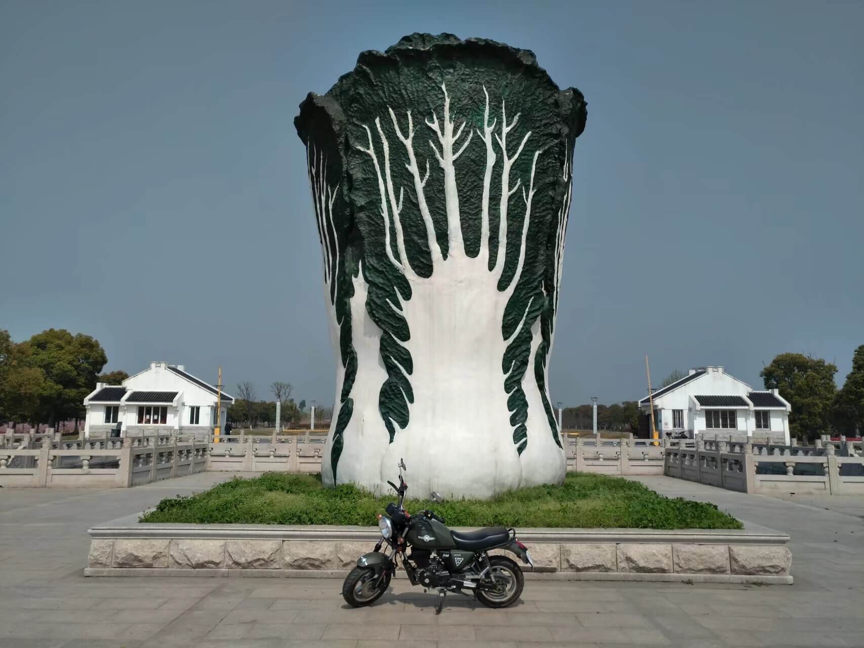 苏州吴江区230省道旁的大白菜雕塑