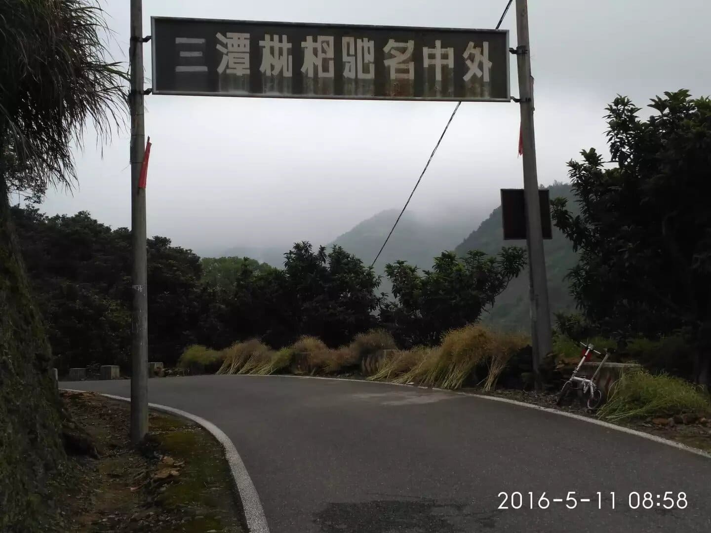 三潭枇杷 三潭枇杷