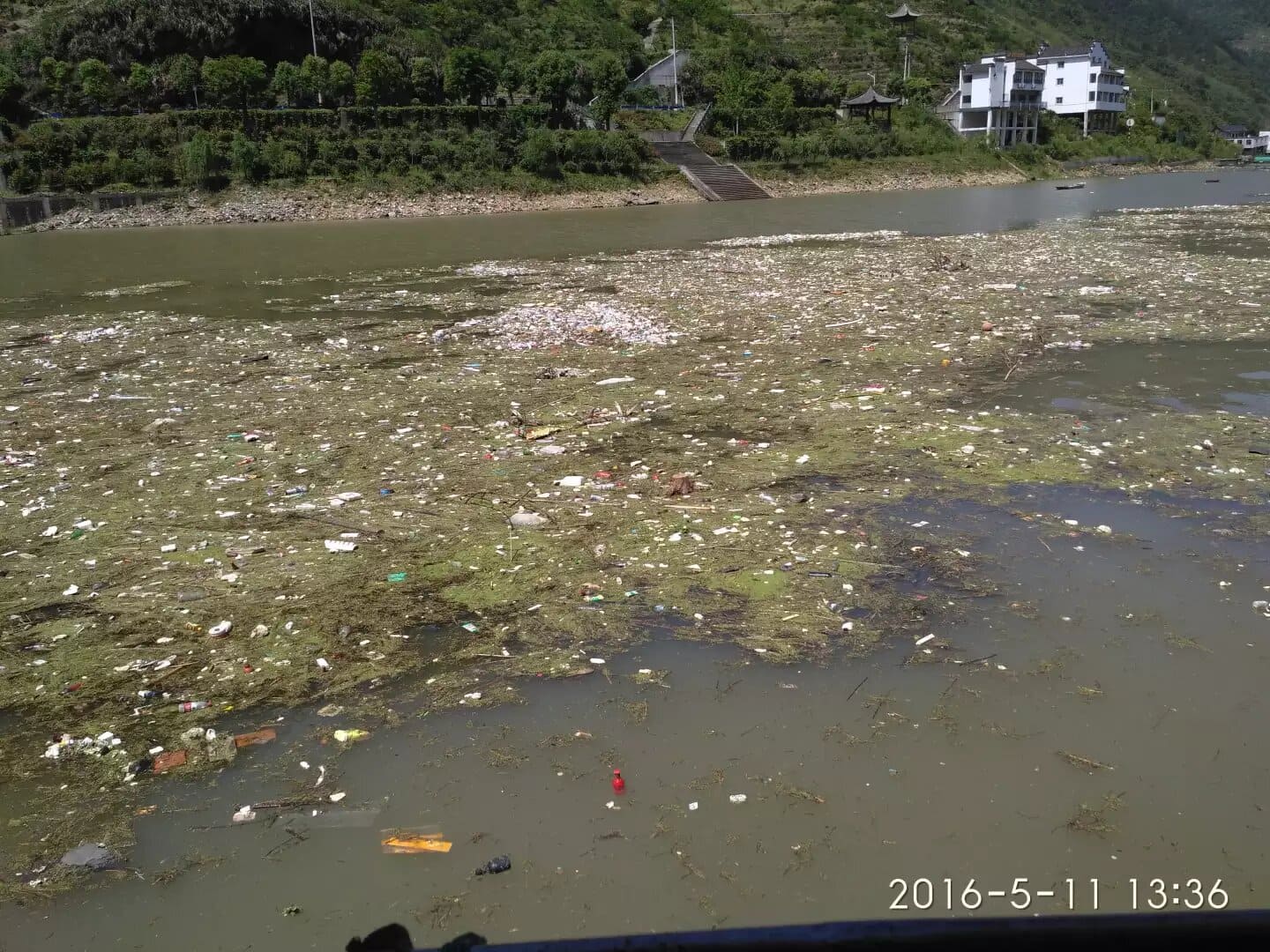 新安江上漂浮的垃圾 新安江上漂浮的垃圾
